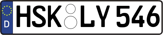 HSK-LY546