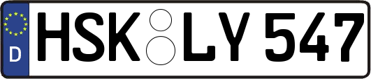 HSK-LY547