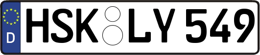 HSK-LY549