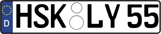 HSK-LY55