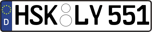 HSK-LY551