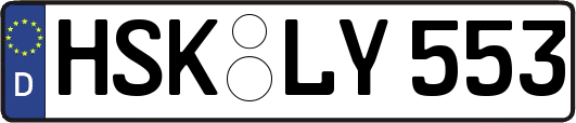 HSK-LY553