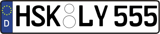HSK-LY555