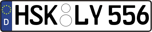 HSK-LY556