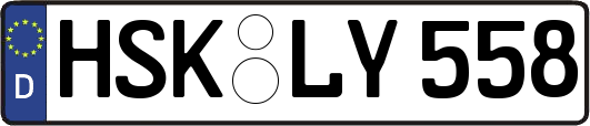 HSK-LY558