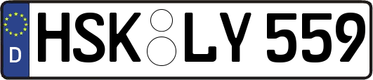 HSK-LY559