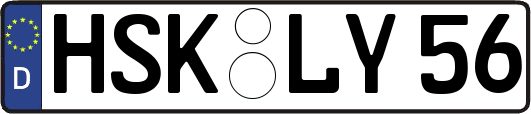 HSK-LY56