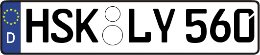 HSK-LY560