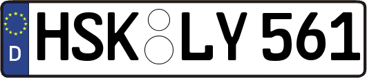HSK-LY561