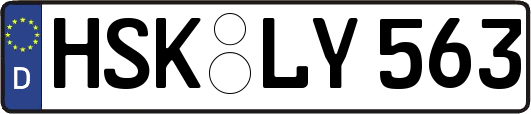 HSK-LY563