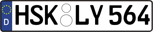HSK-LY564