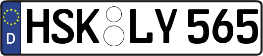 HSK-LY565