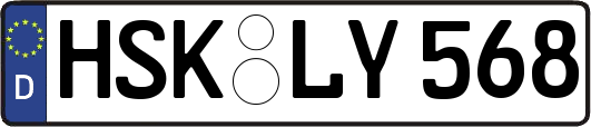 HSK-LY568