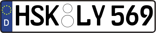 HSK-LY569
