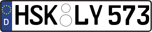 HSK-LY573
