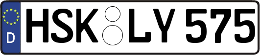 HSK-LY575