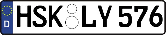 HSK-LY576