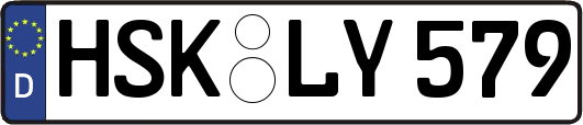 HSK-LY579