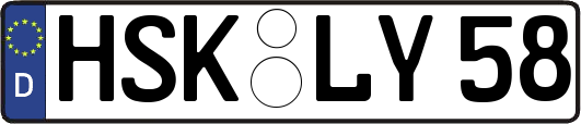 HSK-LY58