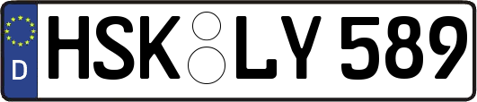 HSK-LY589
