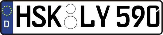 HSK-LY590