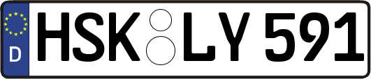 HSK-LY591