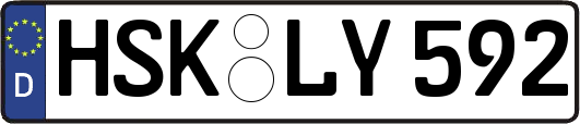 HSK-LY592