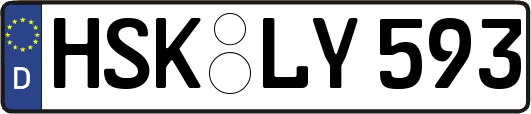 HSK-LY593