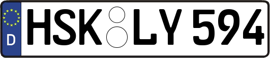HSK-LY594