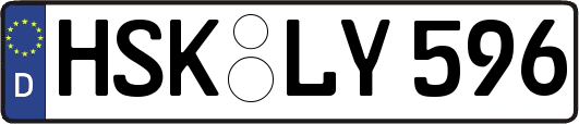 HSK-LY596