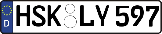 HSK-LY597