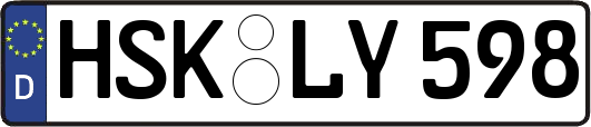HSK-LY598