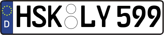 HSK-LY599