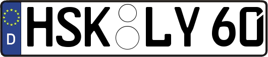 HSK-LY60
