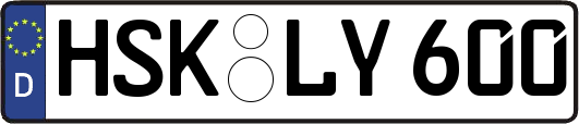 HSK-LY600