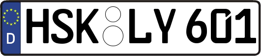 HSK-LY601