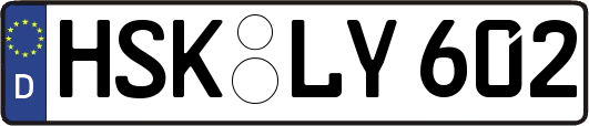 HSK-LY602