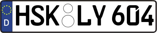 HSK-LY604