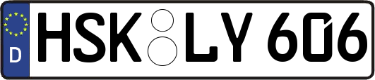 HSK-LY606