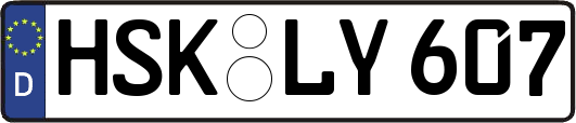 HSK-LY607