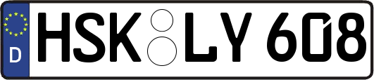 HSK-LY608