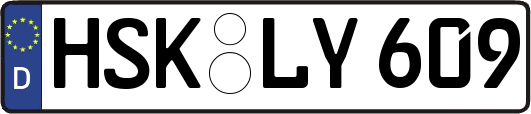 HSK-LY609