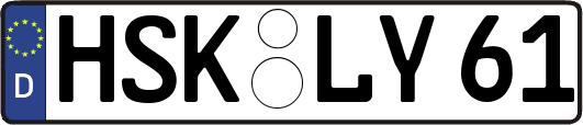 HSK-LY61