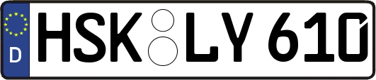 HSK-LY610