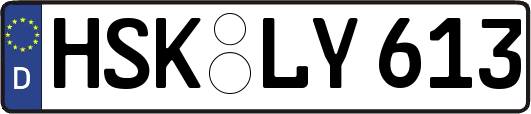 HSK-LY613