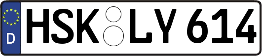 HSK-LY614