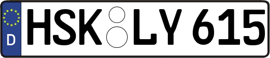 HSK-LY615