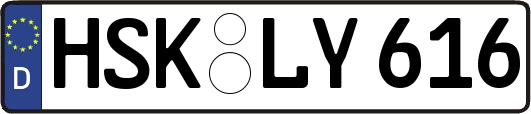 HSK-LY616