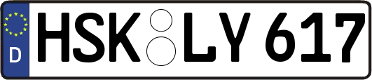 HSK-LY617