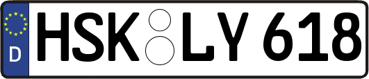HSK-LY618